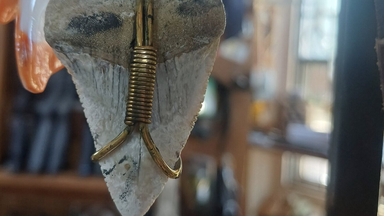 Colgantes de dientes de tiburón y concha de abulón